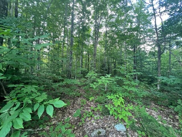 16 Emily Drive Amity, ME 04471 - Photo 20 of 26 IMG_5480