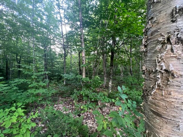 16 Emily Drive Amity, ME 04471 - Photo 21 of 26 IMG_5481