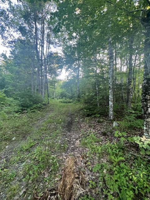 16 Emily Drive Amity, ME 04471 - Photo 22 of 26 IMG_5280