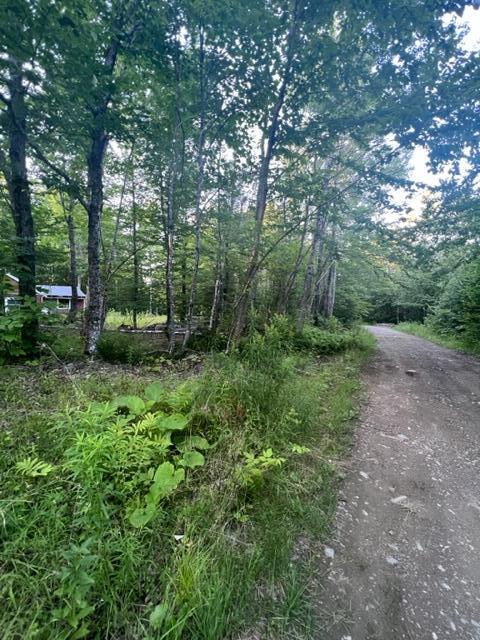 16 Emily Drive Amity, ME 04471 - Photo 23 of 26 IMG_5283