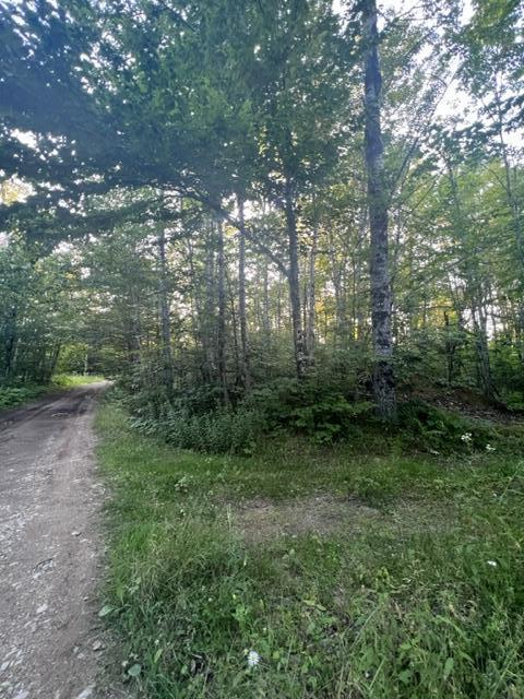 16 Emily Drive Amity, ME 04471 - Photo 24 of 26 IMG_5284