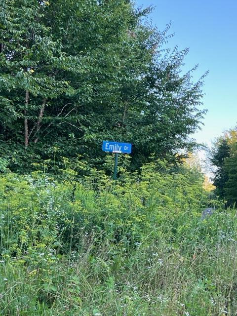 16 Emily Drive Amity, ME 04471 - Photo 25 of 26 IMG_5295