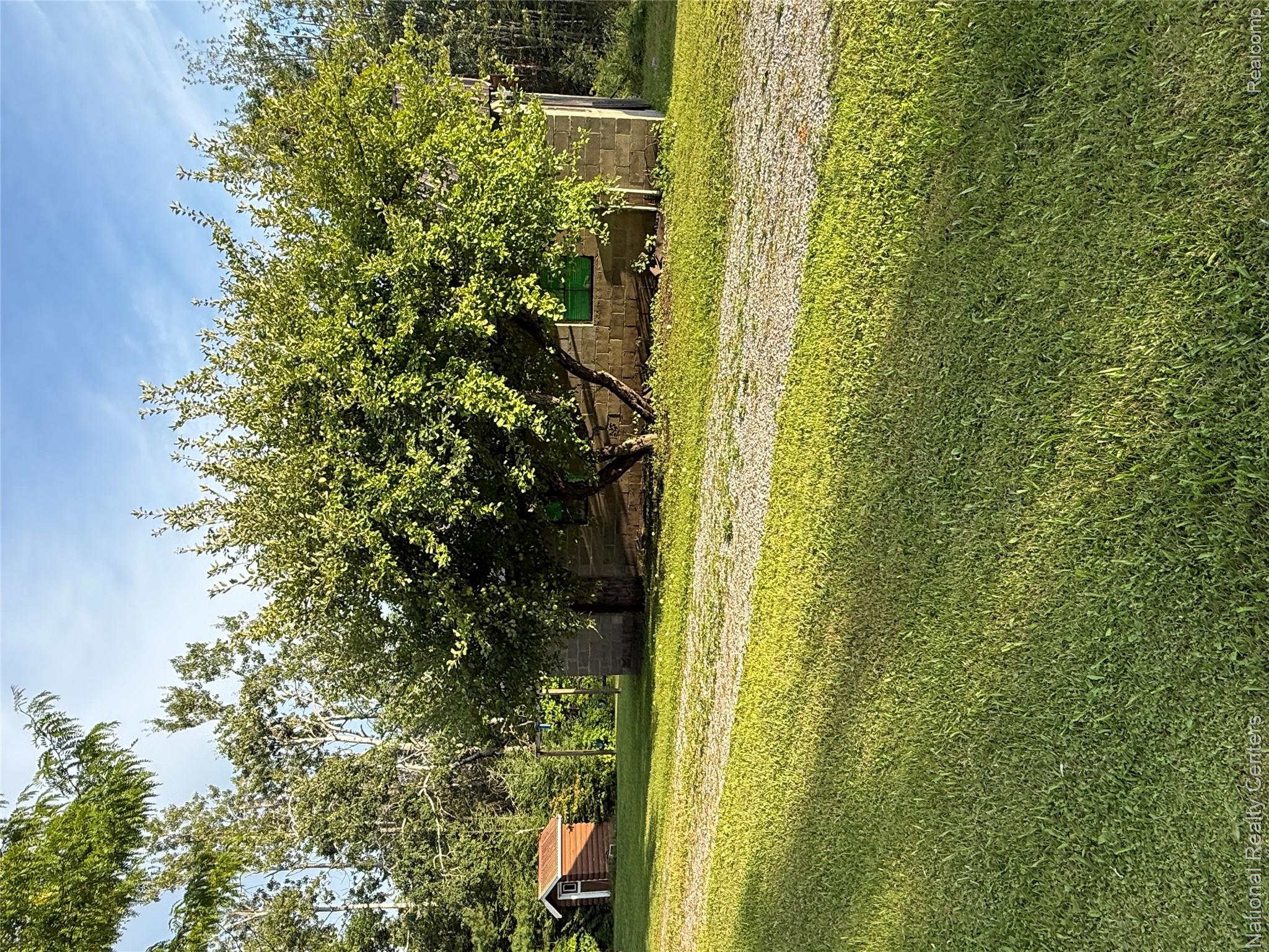 8018 Mielke Road Hawks, MI 49743 - Photo 13 of 27 Gravel driveway with a mature deciduous tree, surrounded by a manicured lawn