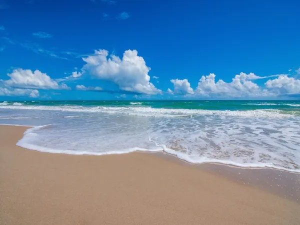 a view of a house with a big yard