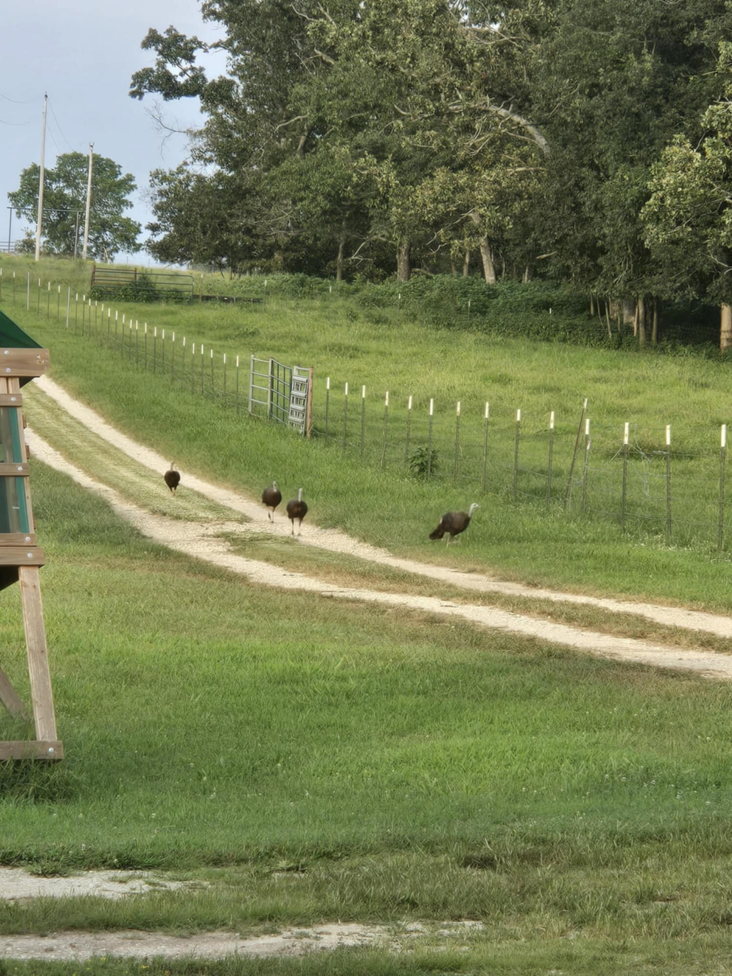 4083 State Route West West Plains, MO 65775 - Photo 64 of 72 62