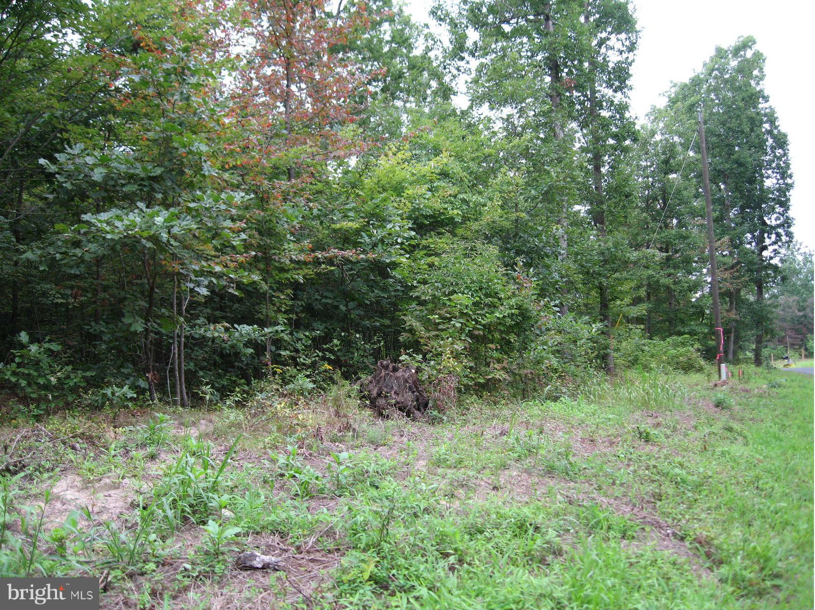 Farm Road Strasburg, VA 22657 - Photo 2 of 3 Exterior (General)