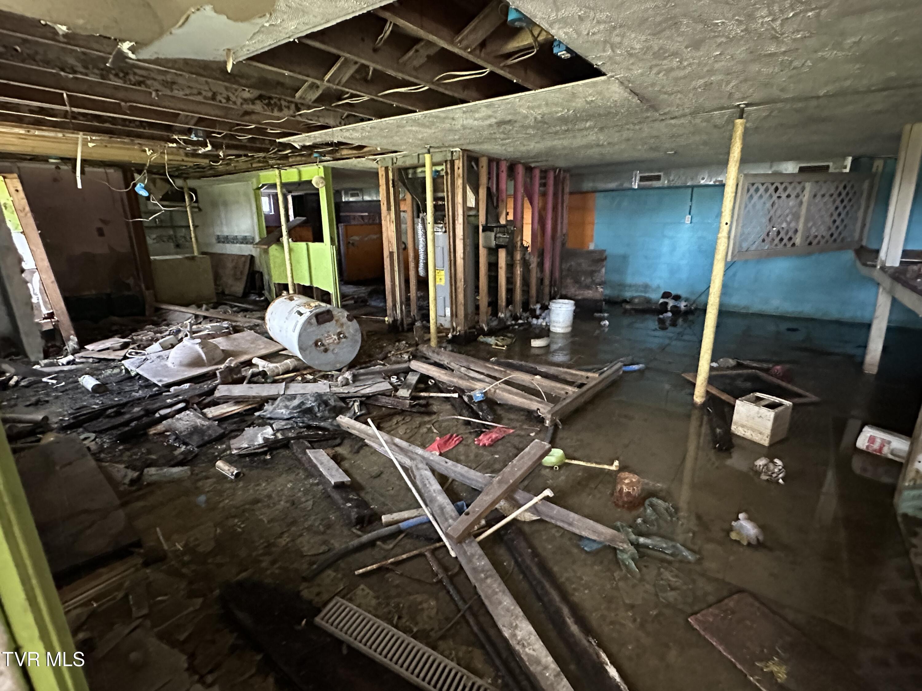 315 Alpine Loop Mosheim, TN 37818 - Photo 14 of 14 IMG_4742