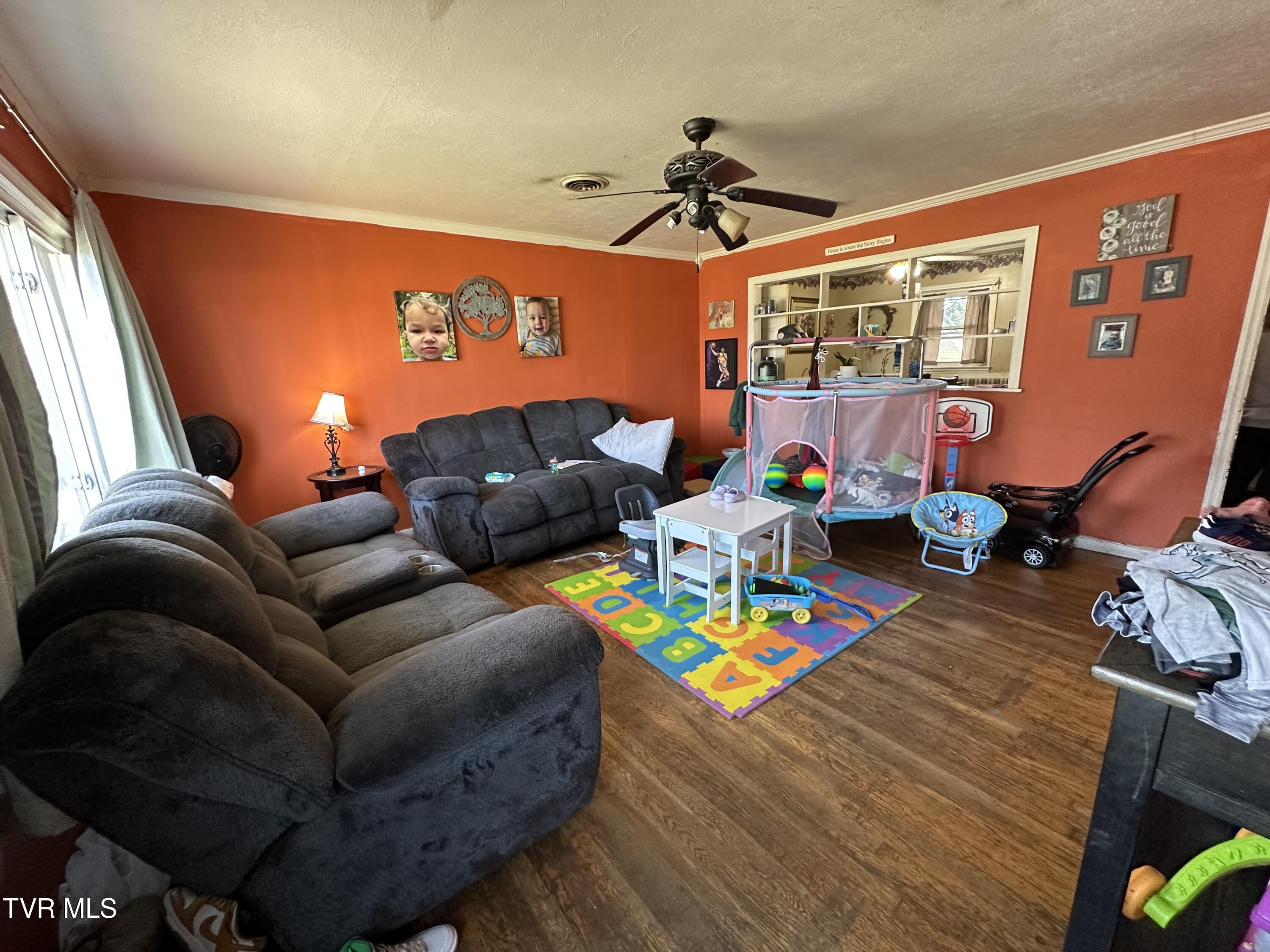 315 Alpine Loop Mosheim, TN 37818 - Photo 4 of 14 IMG_4741