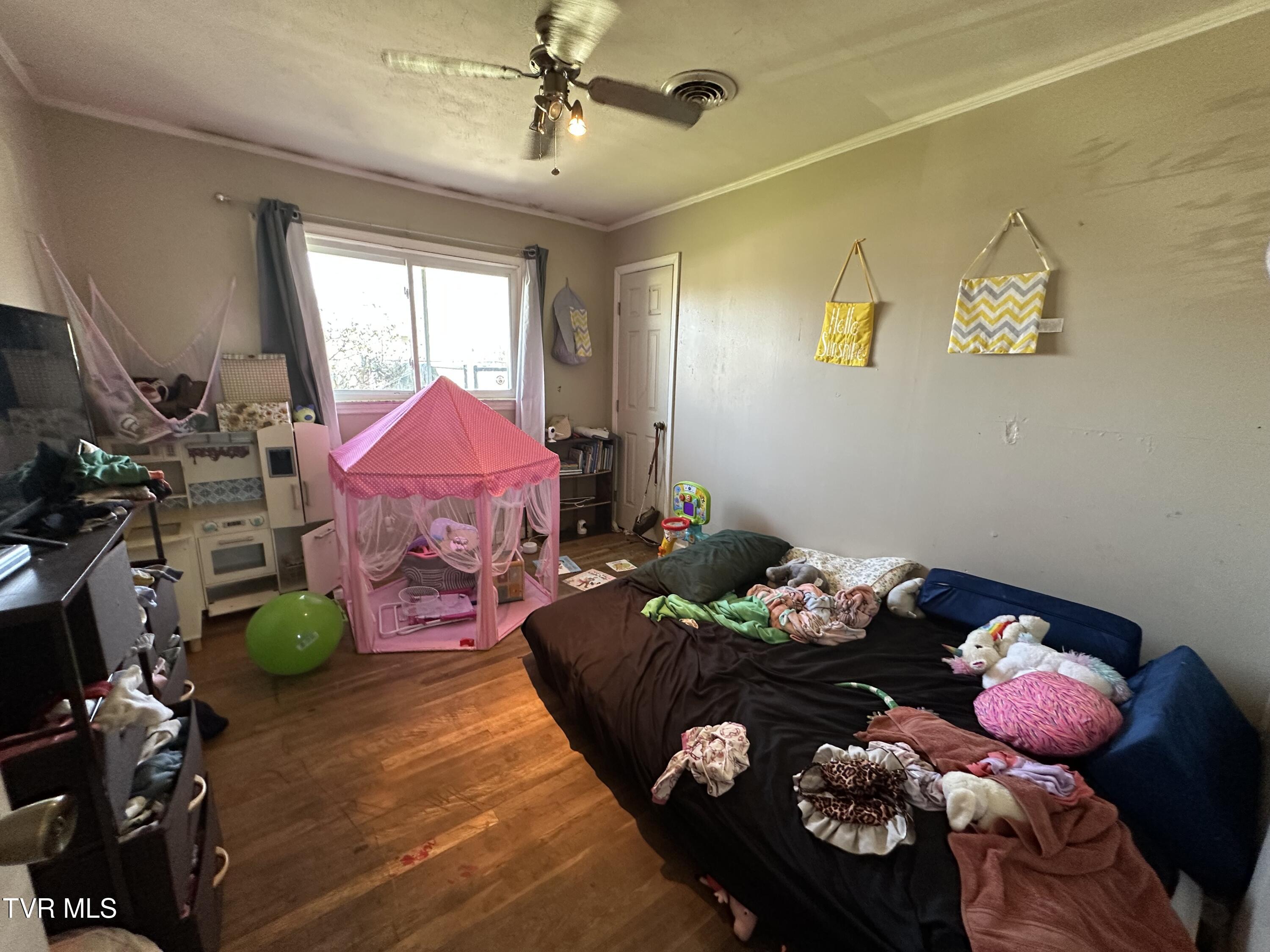 315 Alpine Loop Mosheim, TN 37818 - Photo 7 of 14 IMG_4737