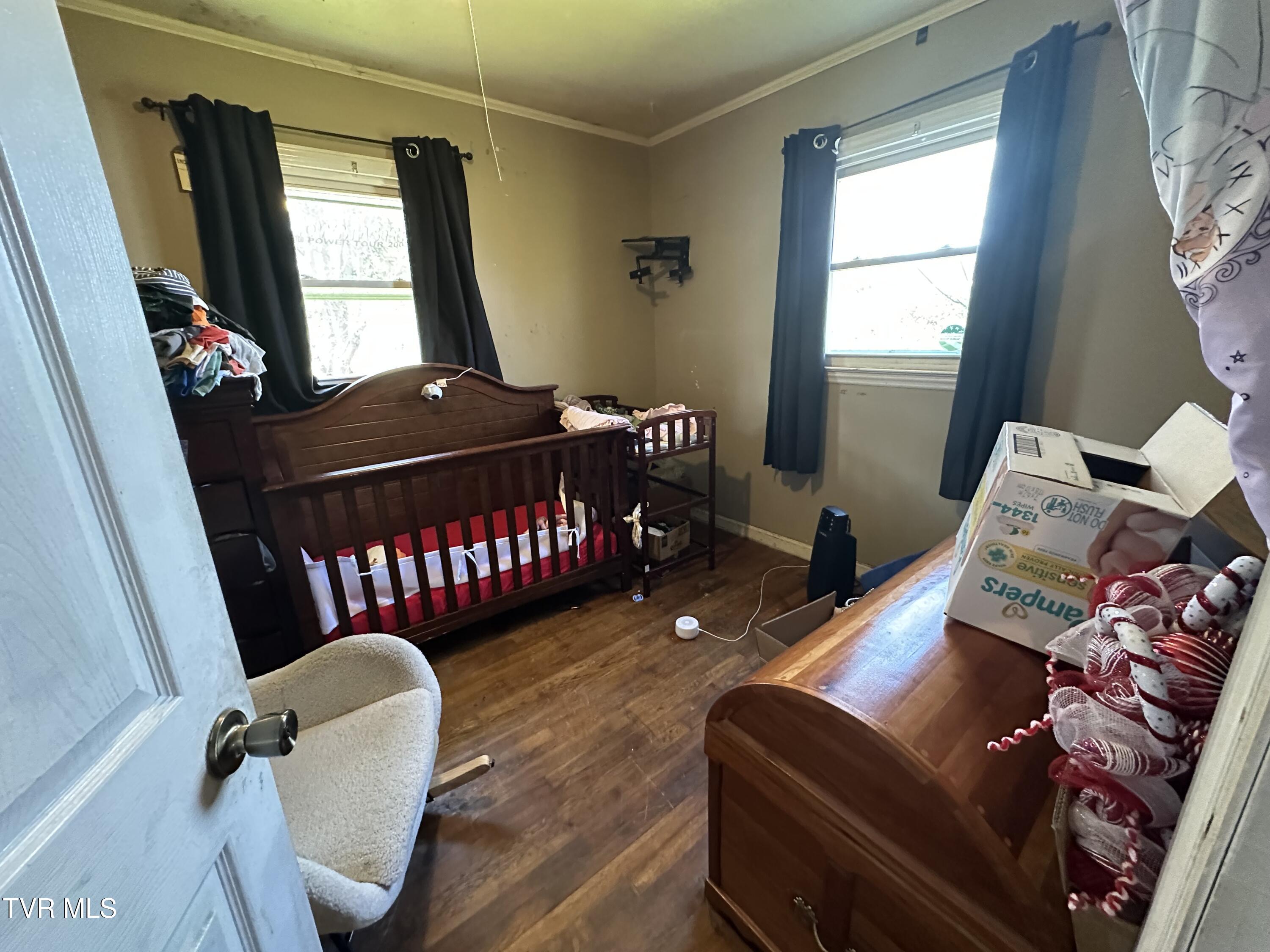 315 Alpine Loop Mosheim, TN 37818 - Photo 9 of 14 IMG_4735