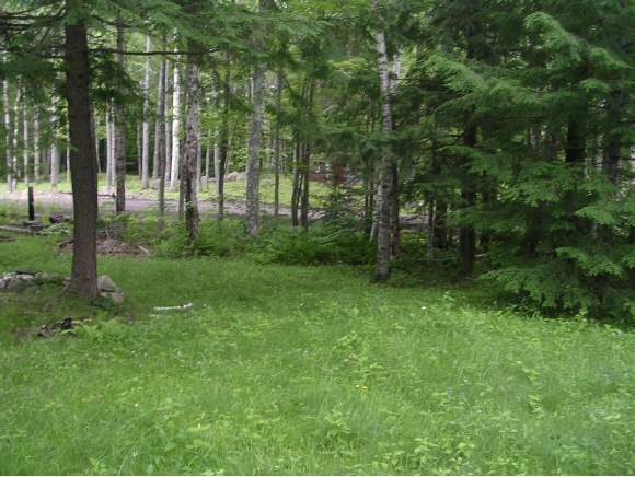 82 Dick Brown Road Bristol, NH 03222 - Photo 1 of 9 Gallery Image 1