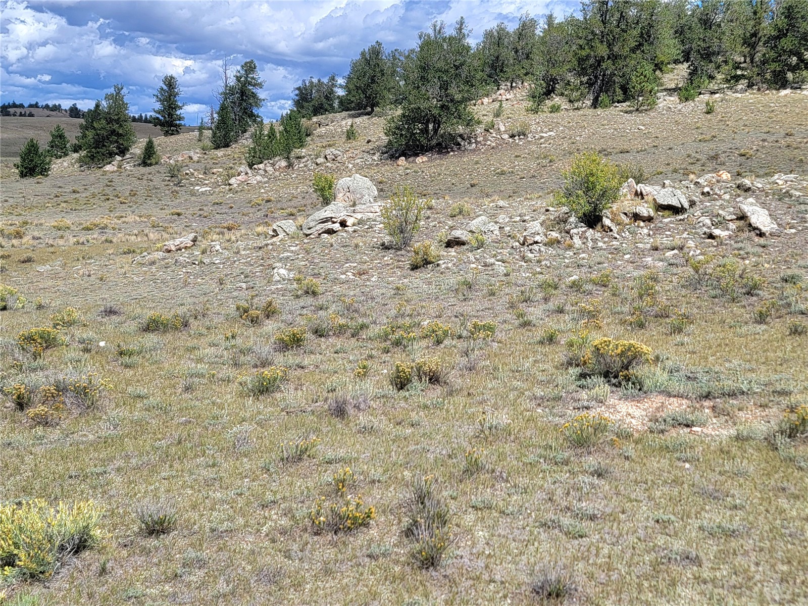 20 Yellowstone Road Hartsel, CO 80449 - Photo 41 of 50 Gallery Image 41