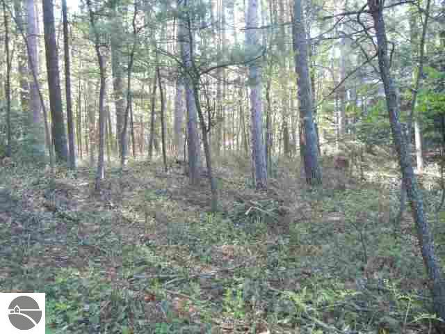 9579 Winter Road Williamsburg, MI 49690 - Photo 19 of 21 1727425-18.JPG