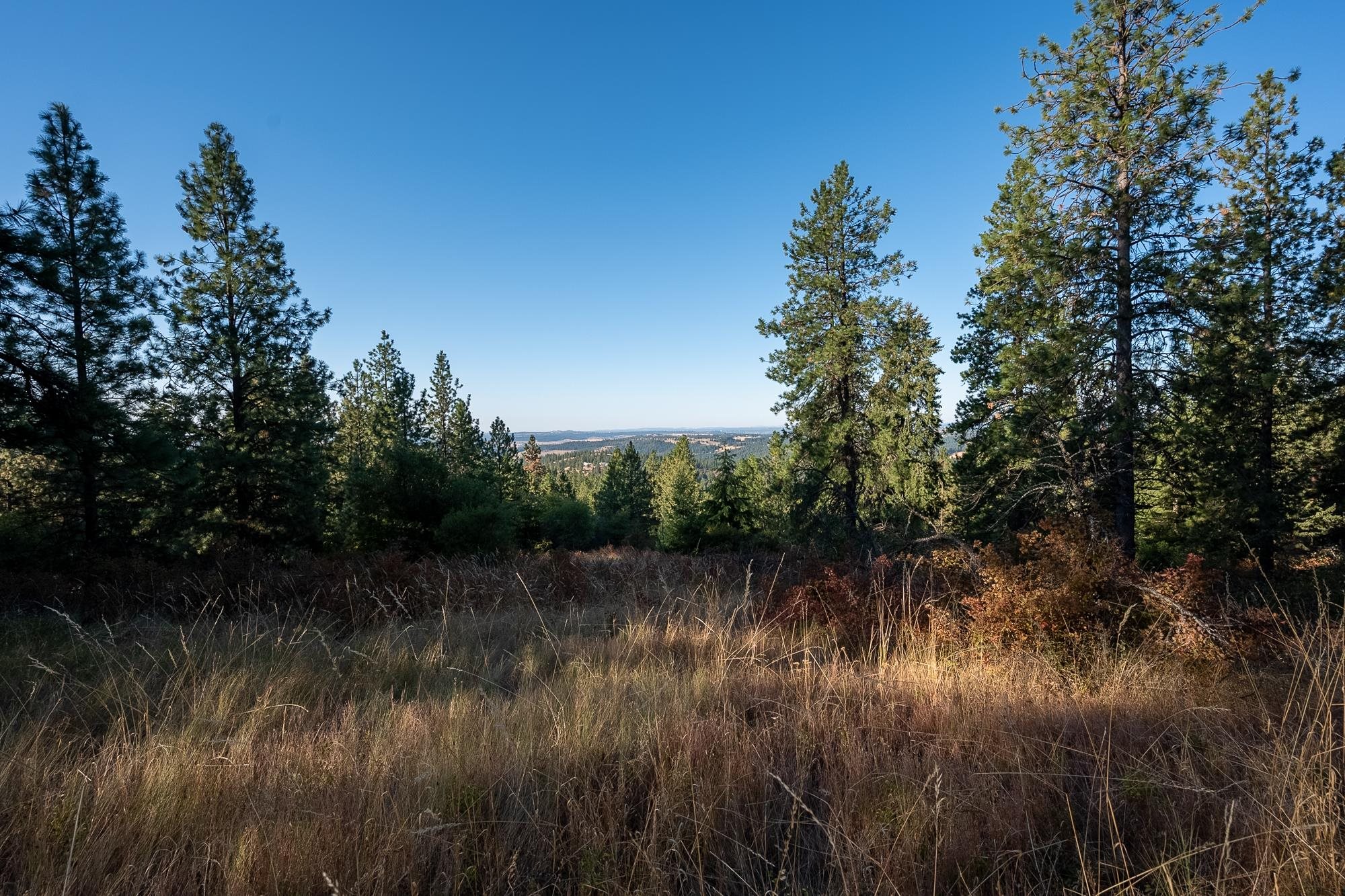 Xxx East Randall Road Mead, WA 99021 - Photo 1 of 25