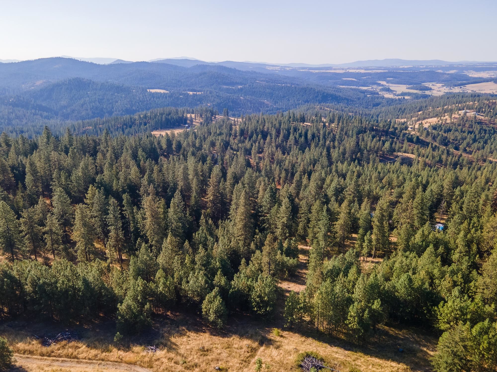 Xxx East Randall Road Mead, WA 99021 - Photo 12 of 25