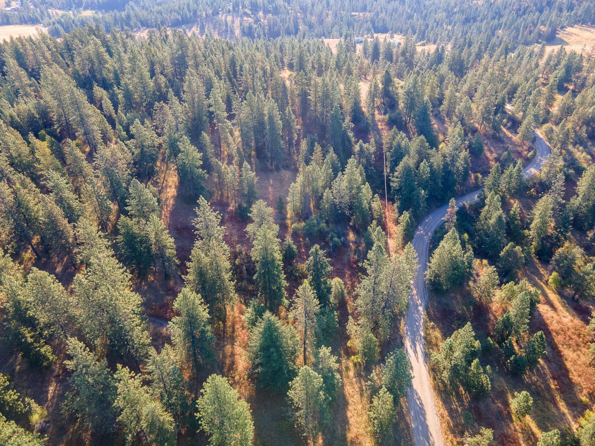 Xxx East Randall Road Mead, WA 99021 - Photo 13 of 25