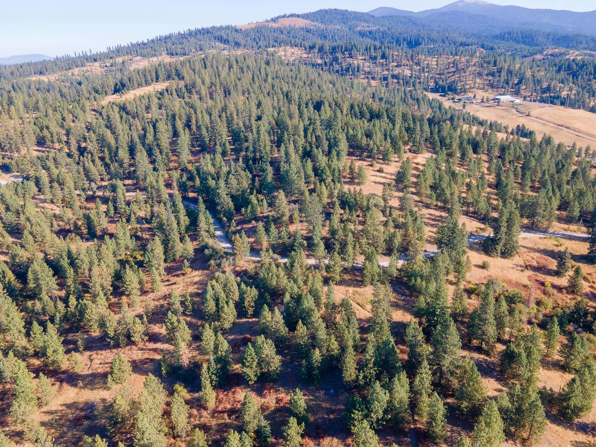 Xxx East Randall Road Mead, WA 99021 - Photo 15 of 25