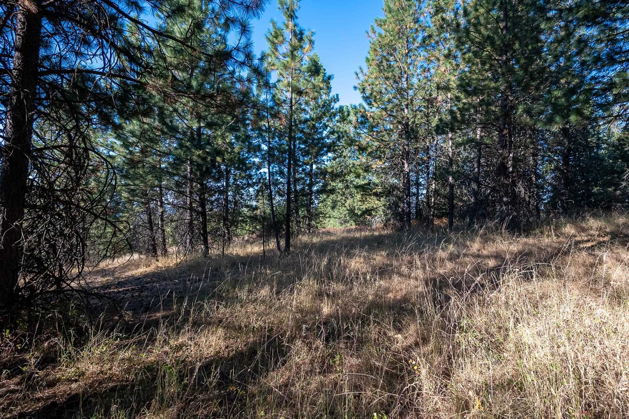 Xxx East Randall Road Mead, WA 99021 - Photo 19 of 25