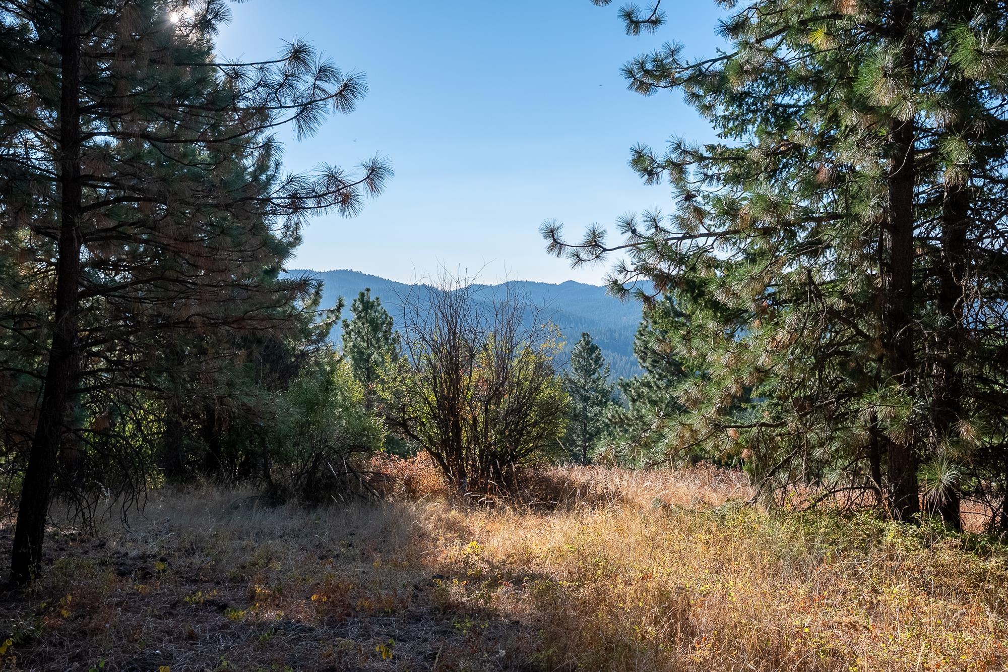 Xxx East Randall Road Mead, WA 99021 - Photo 20 of 25