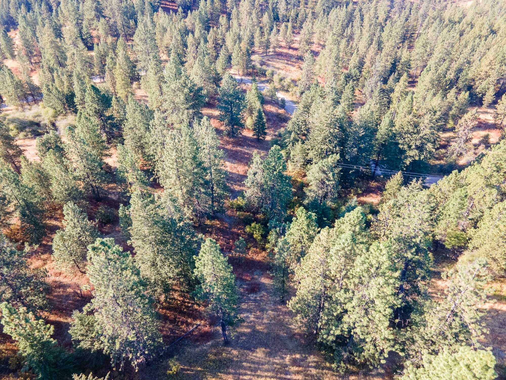 Xxx East Randall Road Mead, WA 99021 - Photo 2 of 25