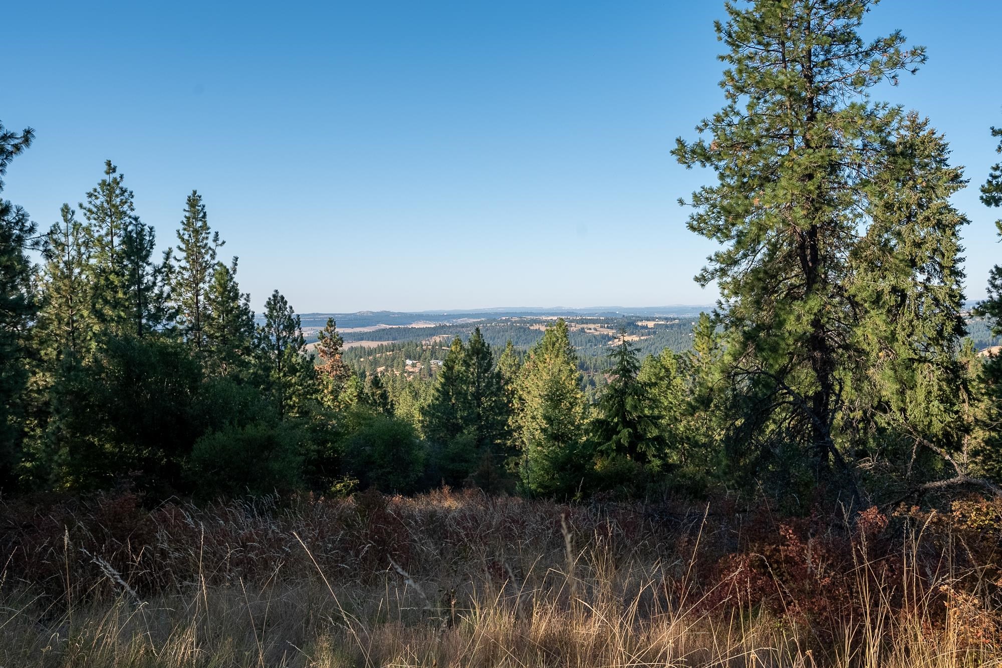 Xxx East Randall Road Mead, WA 99021 - Photo 24 of 25
