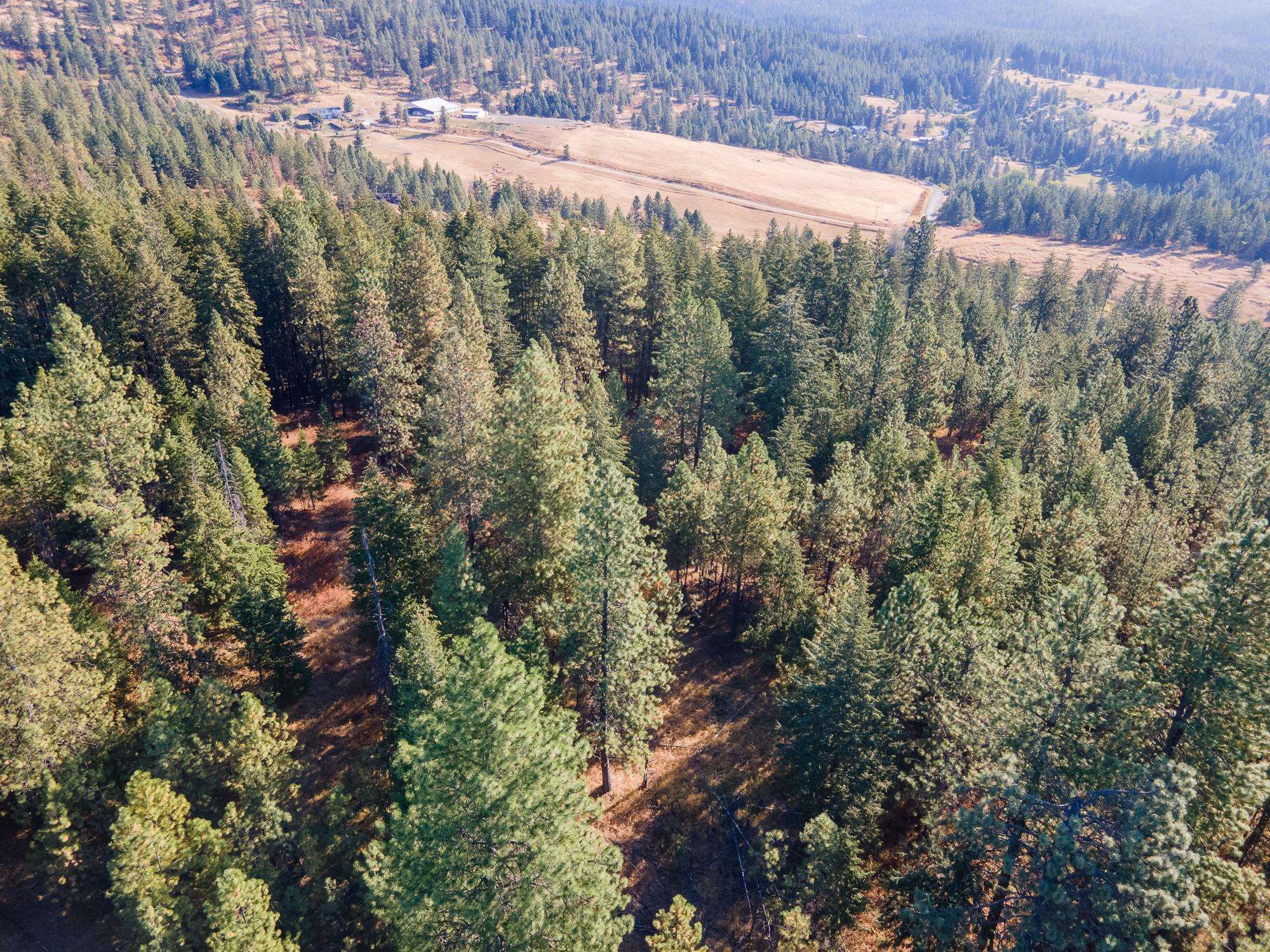 Xxx East Randall Road Mead, WA 99021 - Photo 3 of 25