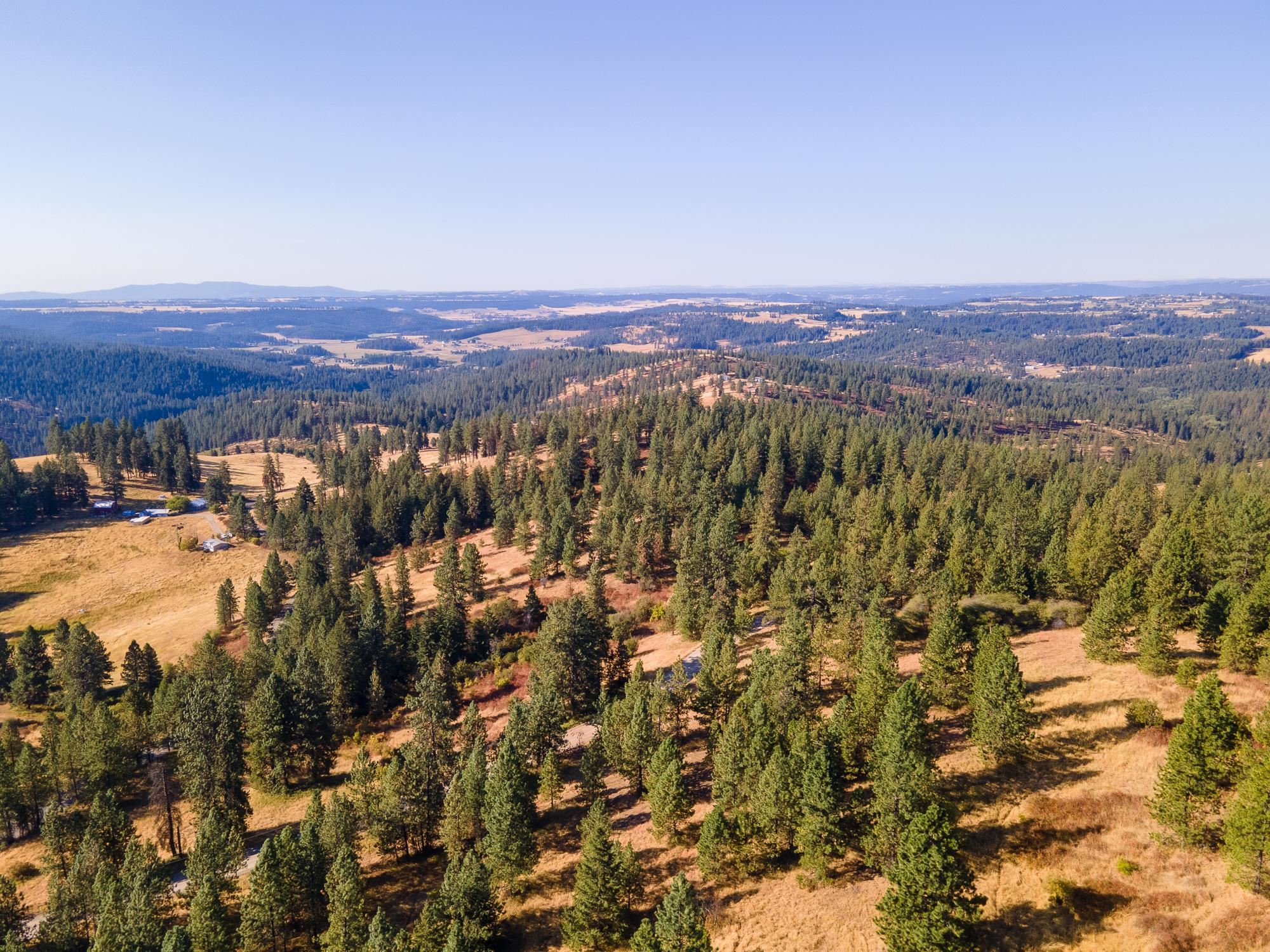 Xxx East Randall Road Mead, WA 99021 - Photo 4 of 25