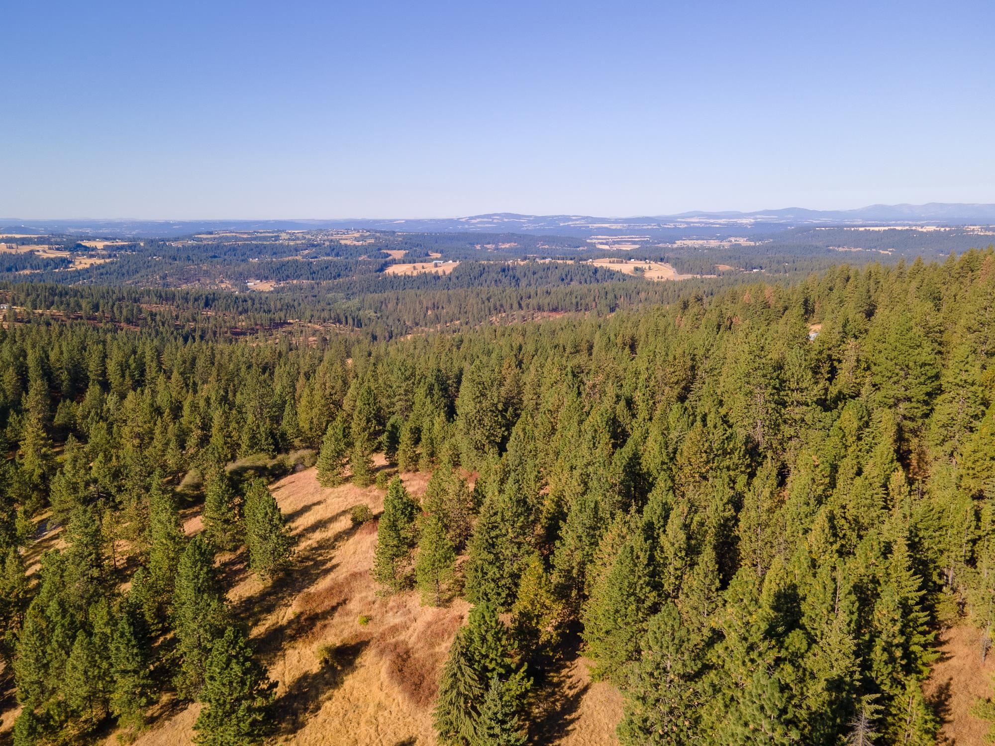 Xxx East Randall Road Mead, WA 99021 - Photo 5 of 25