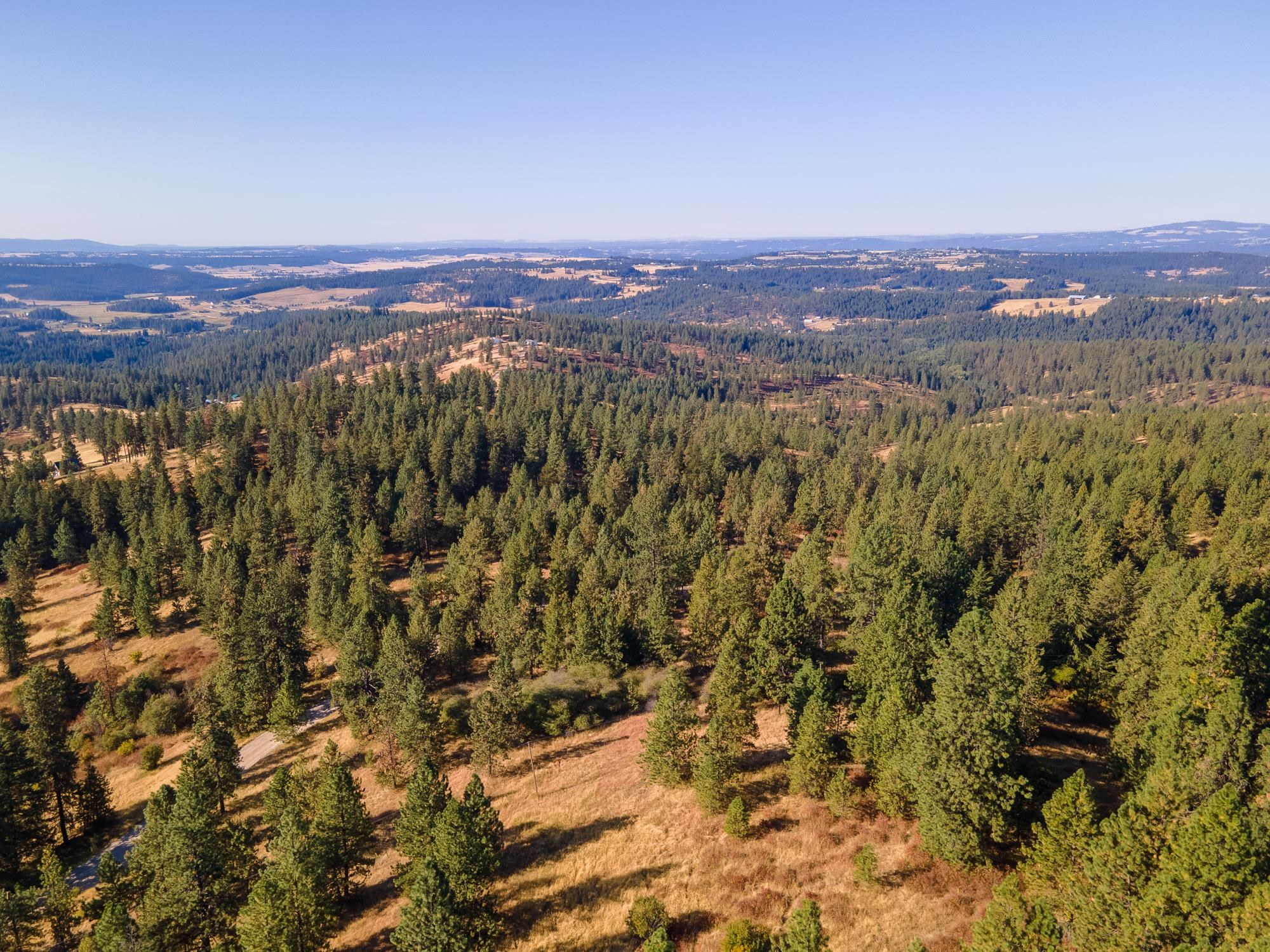 Xxx East Randall Road Mead, WA 99021 - Photo 6 of 25