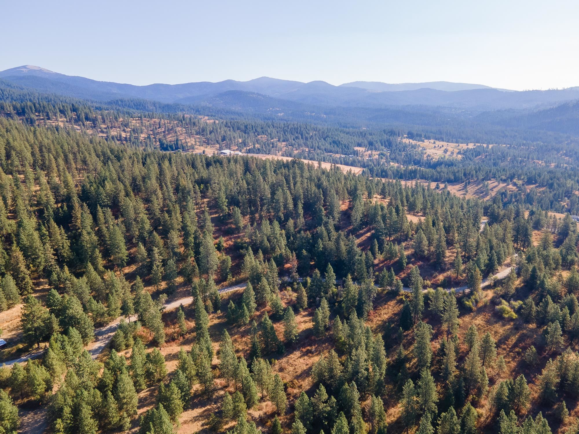 Xxx East Randall Road Mead, WA 99021 - Photo 7 of 25