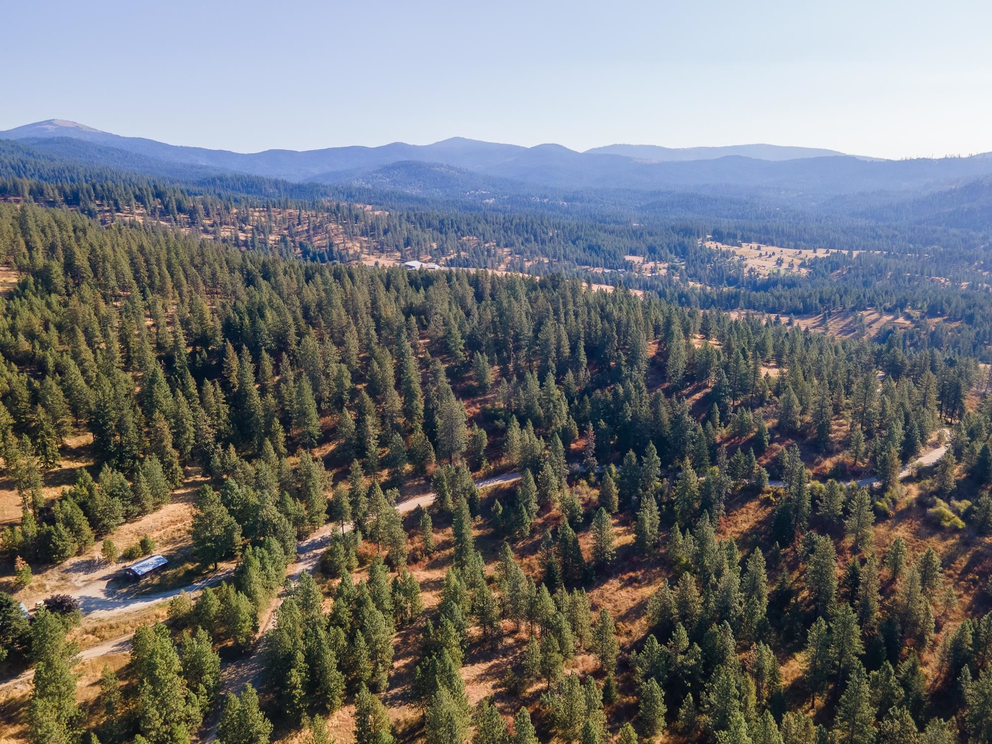 Xxx East Randall Road Mead, WA 99021 - Photo 8 of 25