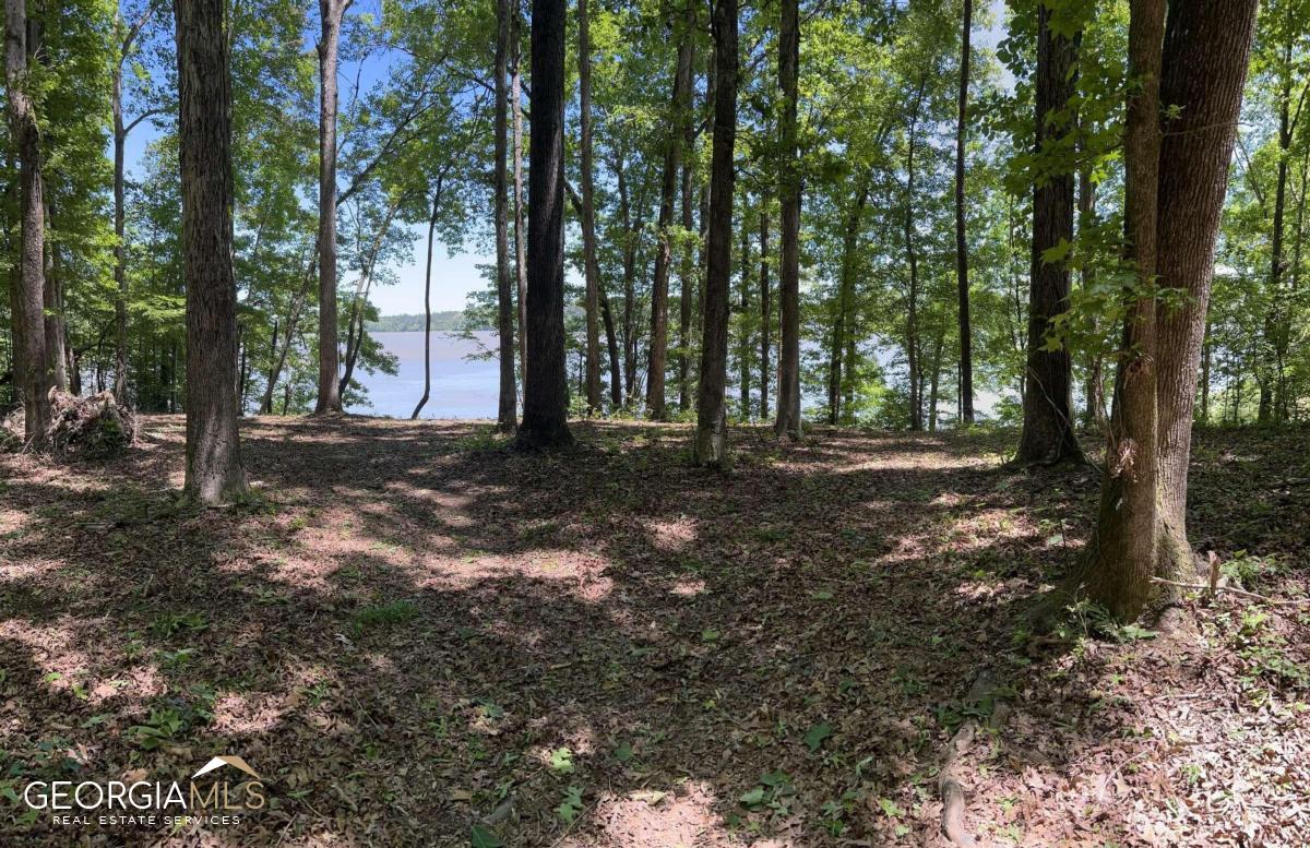 1220 Twin Rivers Road Greensboro, GA 30642 - Photo 1 of 1 a view of a forest with trees