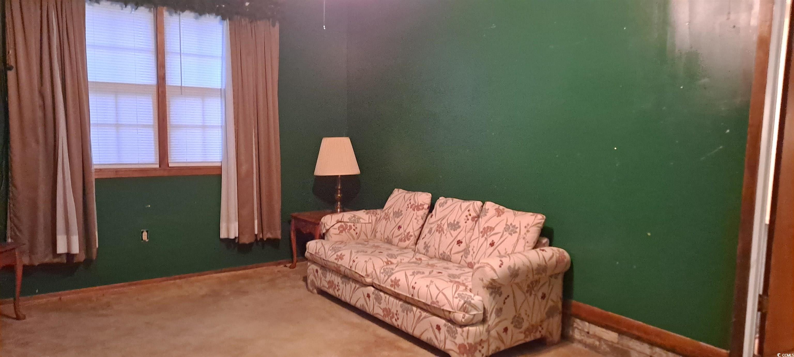 289 Whites Creek Road Georgetown, SC 29440 - Photo 15 of 19 Gallery Image 15