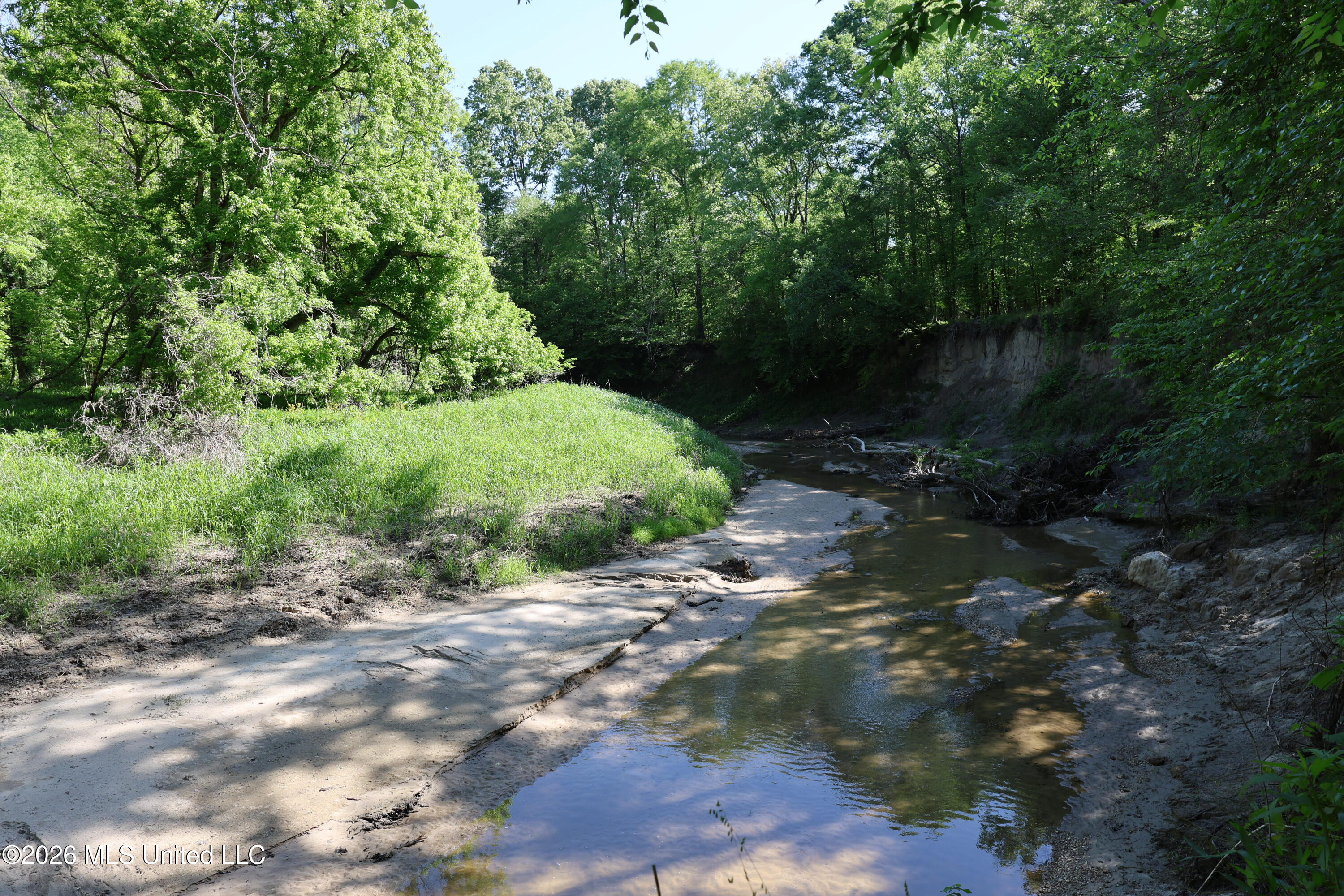 1060 Pearline Bailey Rd Port Port Gibson, MS 39150 - Photo 39 of 63 310042FA-C3E8-4165-AB51-8BDF9DBD0C3D