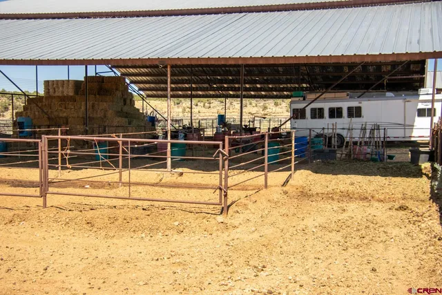a view of a backyard with wooden fence