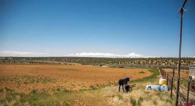 a view of a lake from a balcony