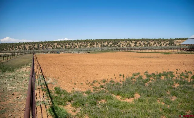 a view of a swimming pool with an ocean view
