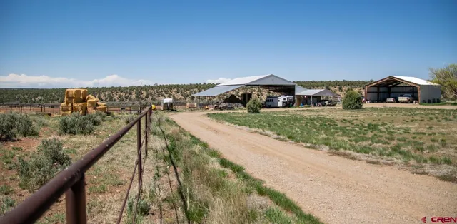 a view of a beach with a ocean view