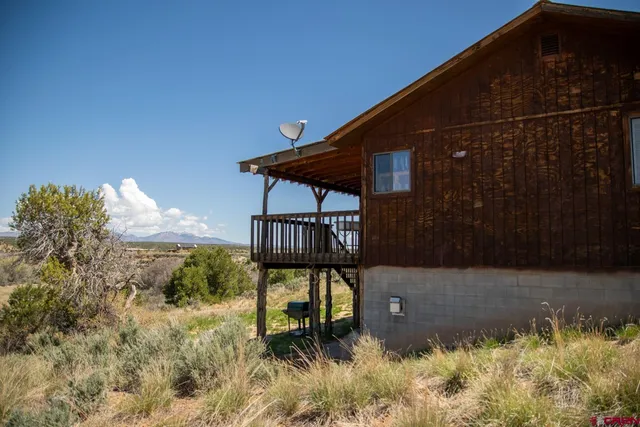 a view of a field with a tree in it