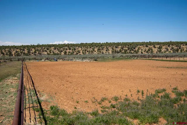 a view of city and ocean