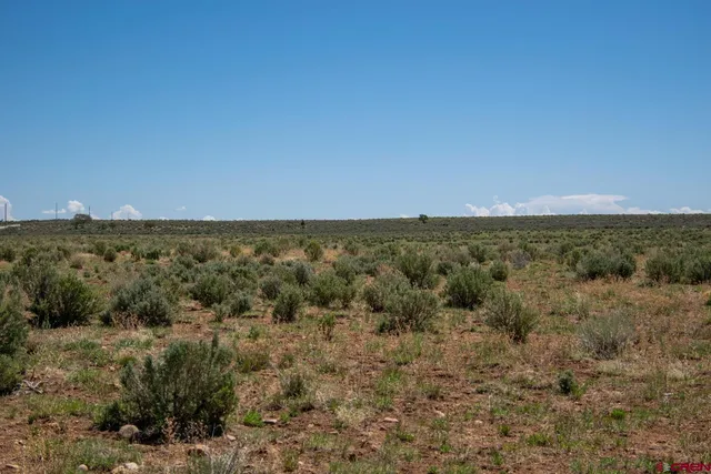 $1,100,000 | 6548 County Road 100, Hesperus, CO 81326