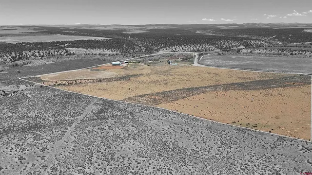 a view of a beach and ocean