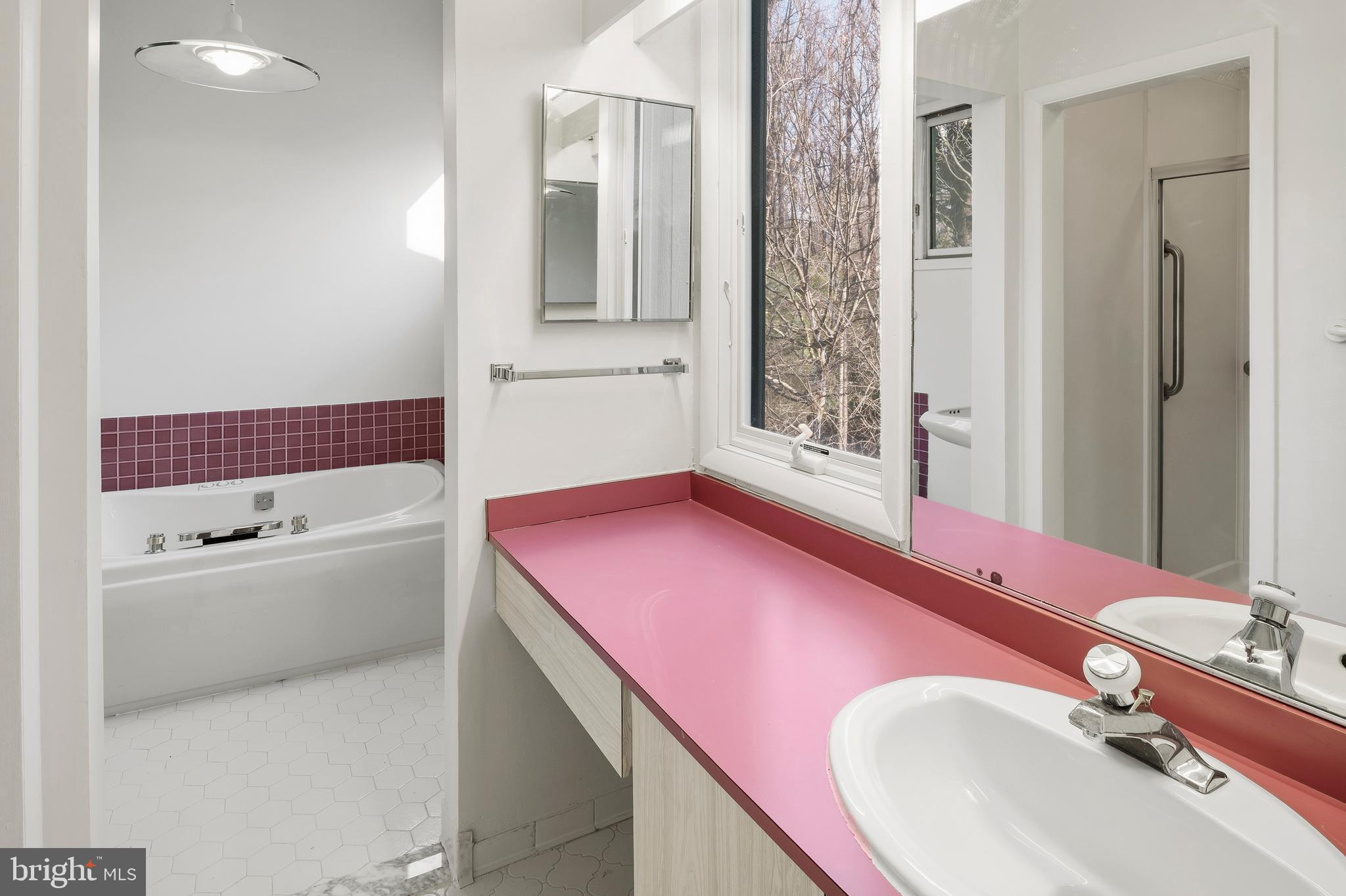 11089 Swansfield Road Columbia, MD 21044 - Photo 27 of 54 Primary Bathroom