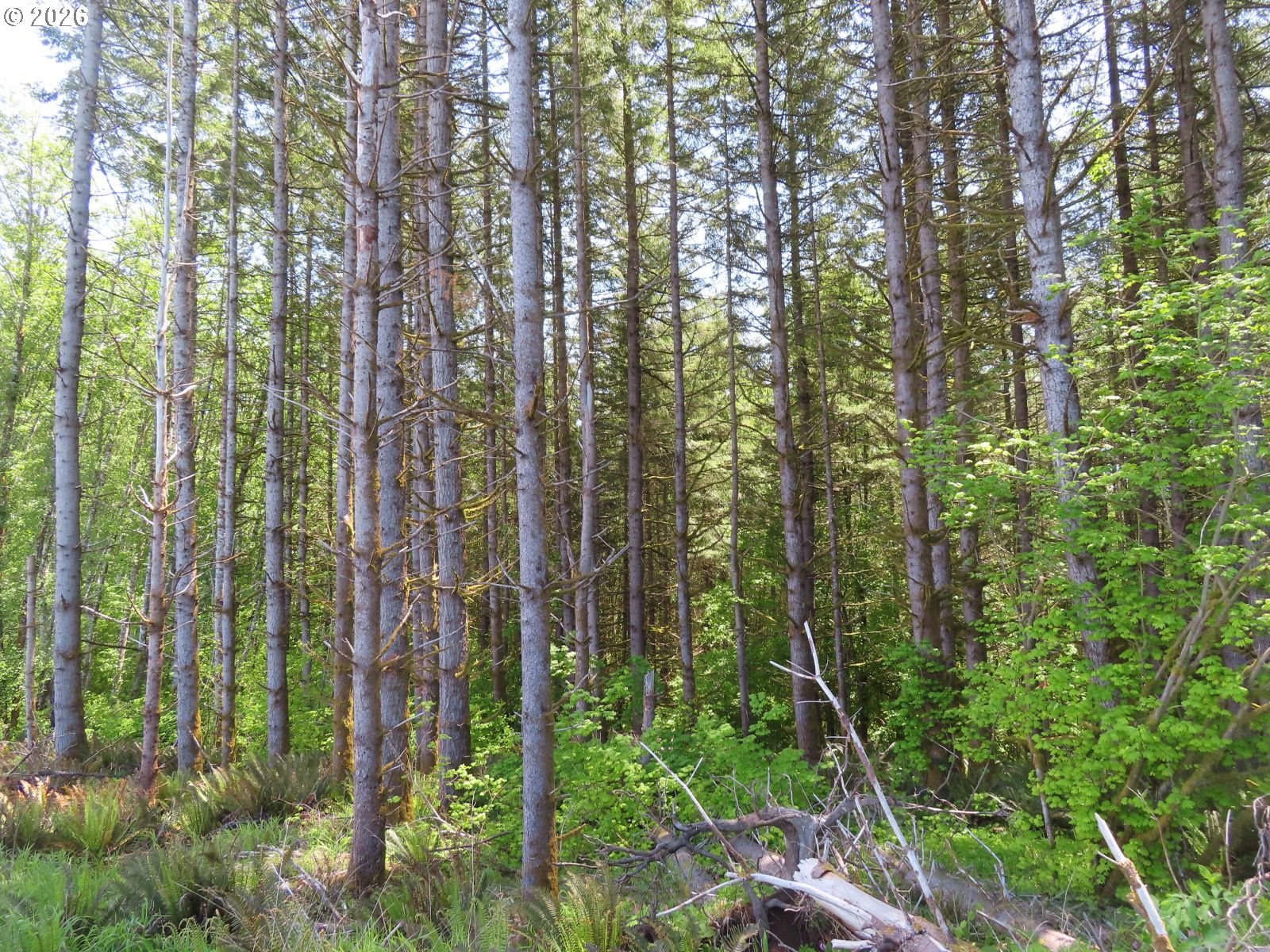 Hockett Road Onalaska, WA 98570 - Photo 7 of 29