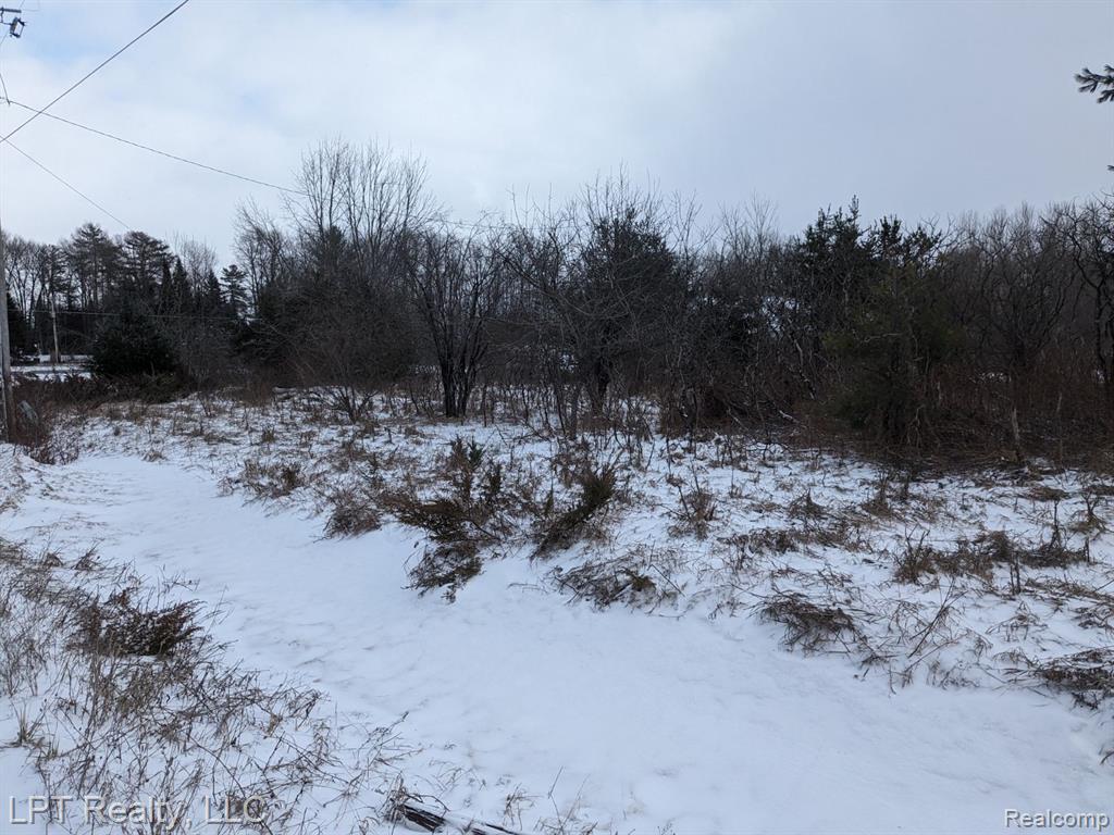 0 Woodmansee Road Cheboygan, MI 49721 - Photo 9 of 10
