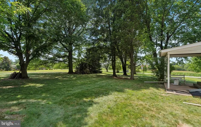 a view of a yard with a tree