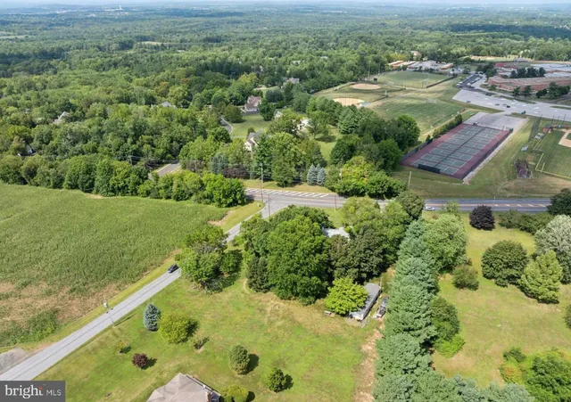 a view of a garden with a lake