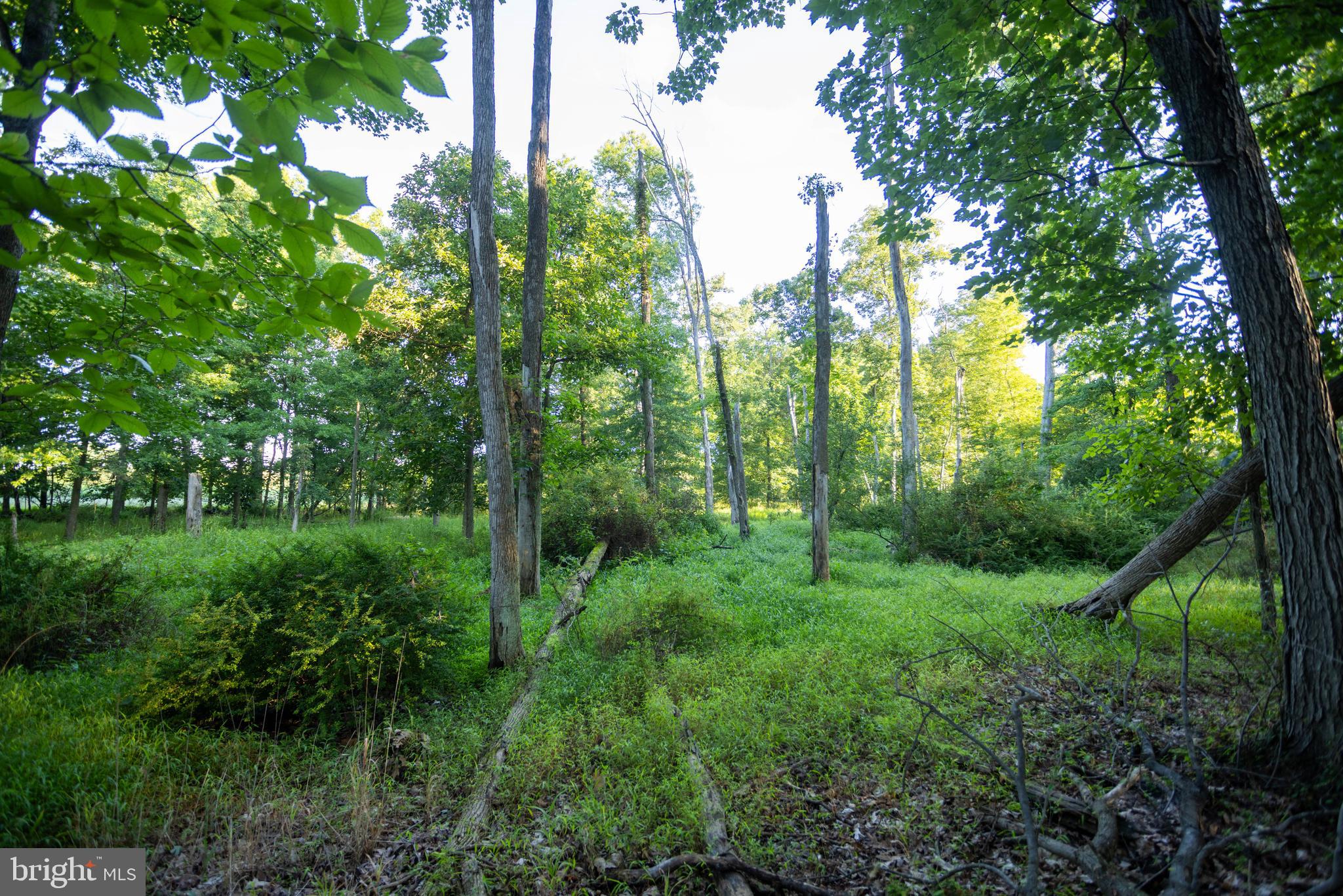 1150 Bullfrog Road Fairfield, PA 17320 - Photo 17 of 20 Gallery Image 17