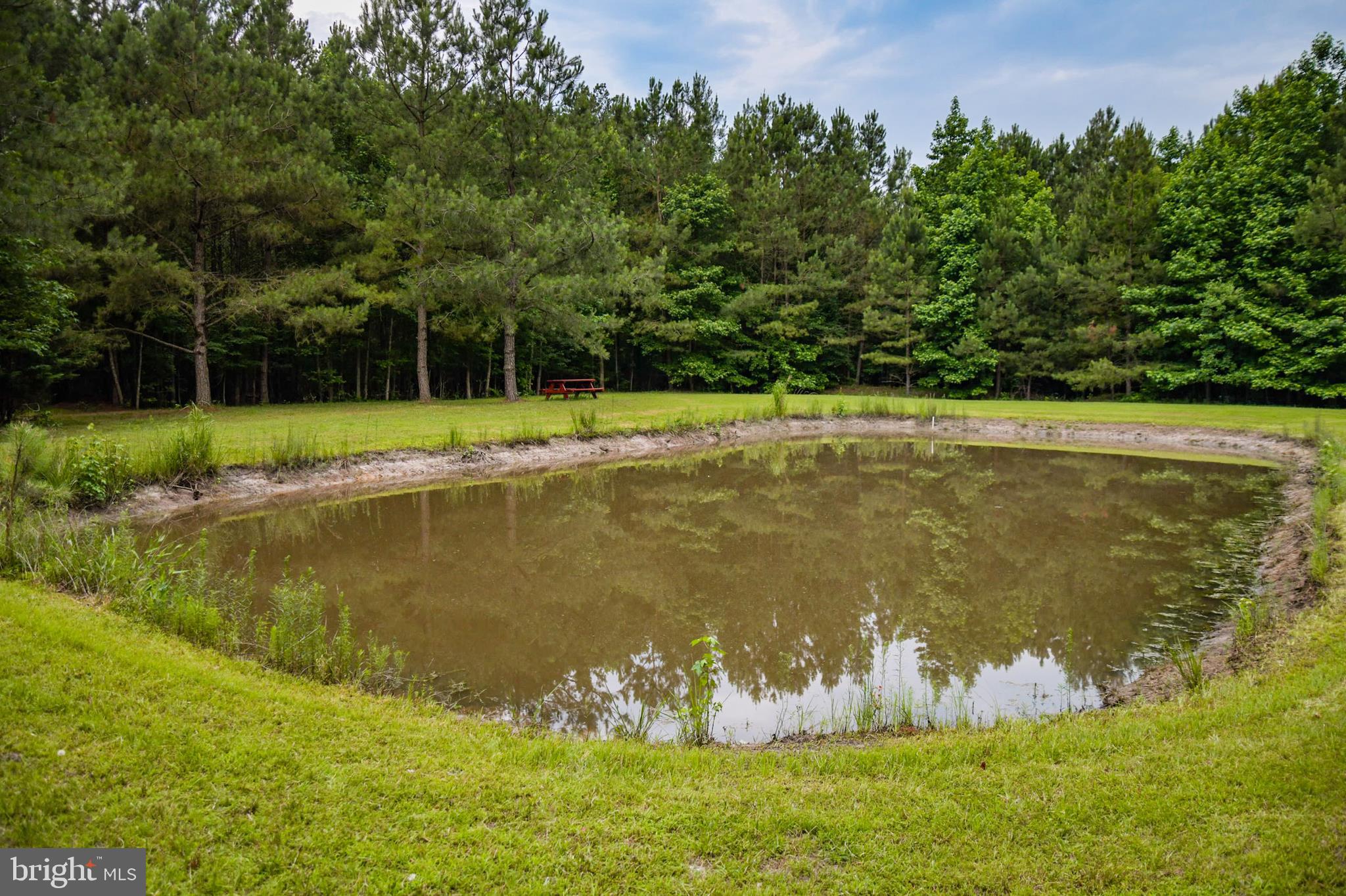 33760 Rohm Road Pittsville, MD 21850 - Photo 44 of 49 Gallery Image 44