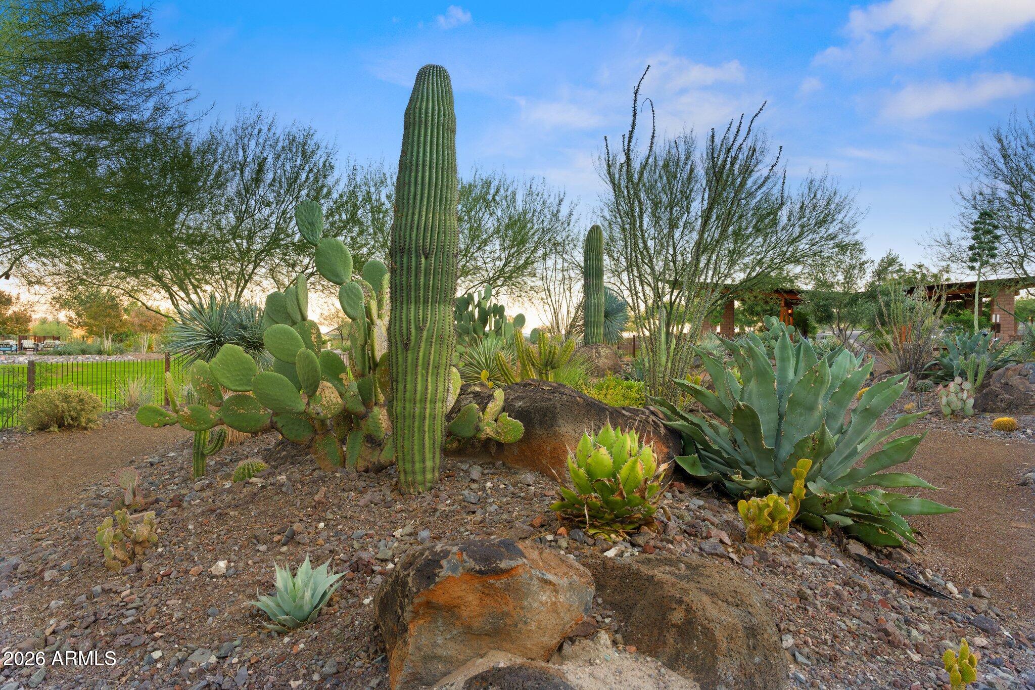 3235 Rising Sun Ridge Wickenburg, AZ 85390 - Photo 62 of 62
